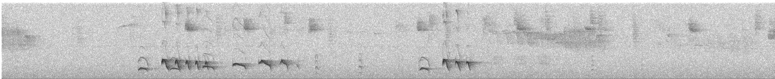 Blackish Antbird - ML643394986