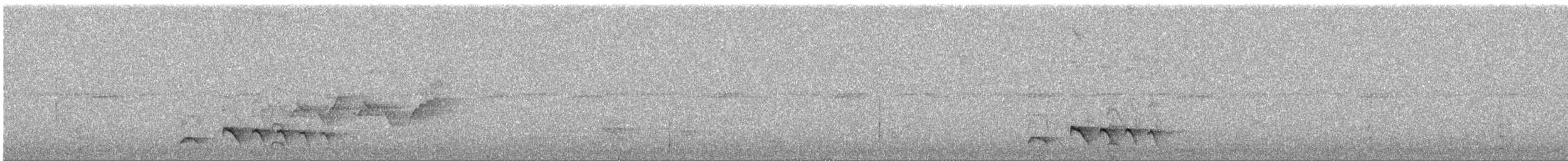 Blackish Antbird - ML643394987