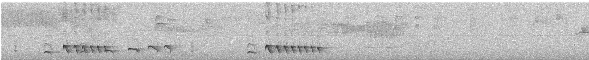 Blackish Antbird - ML643394988