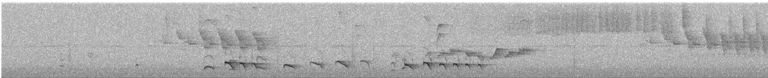 Blackish Antbird - ML643394989