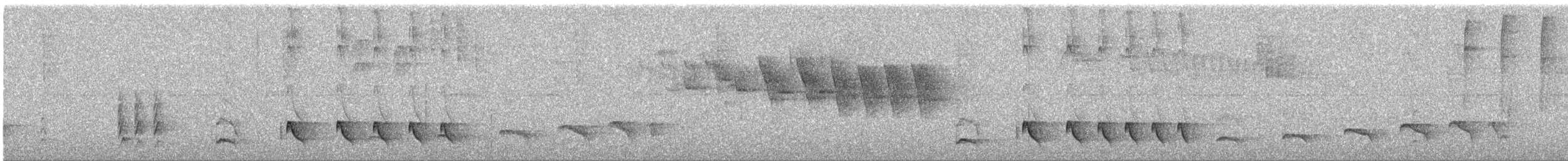 Blackish Antbird - ML643394990