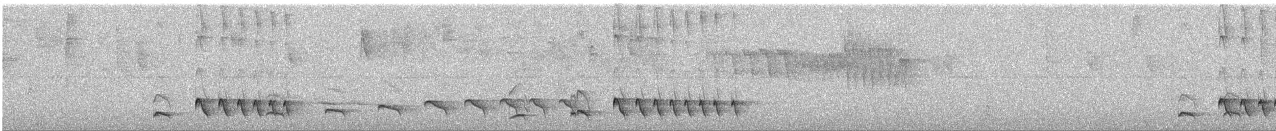 Blackish Antbird - ML643394991
