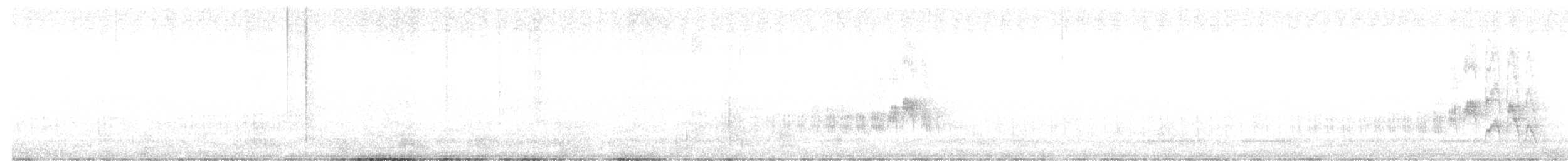 Mouse-colored Tyrannulet - ML643395964