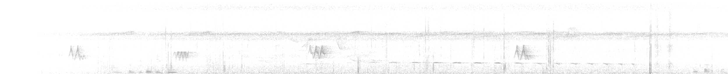 Olivgrau-Ameisenvogel - ML643397650
