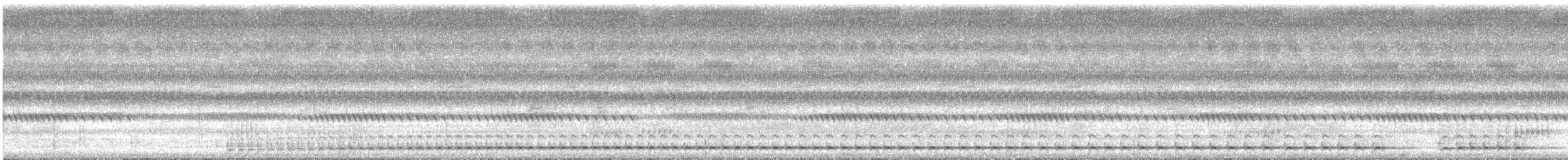Lineated Barbet - ML643398162