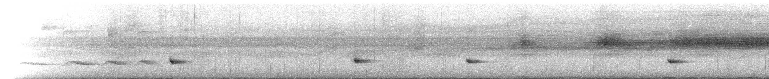 Rufous-breasted Antthrush - ML643398303