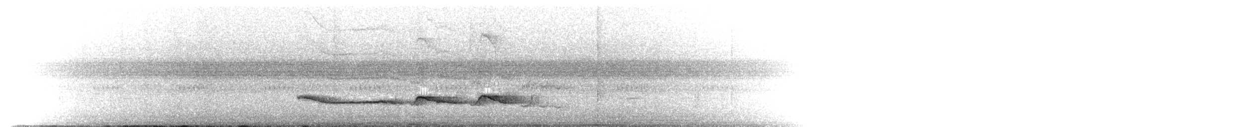 チャユミハシオニキバシリ - ML643398310