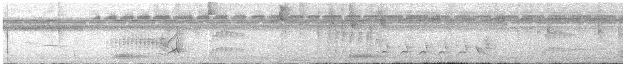 Long-billed Gnatwren - ML643398363