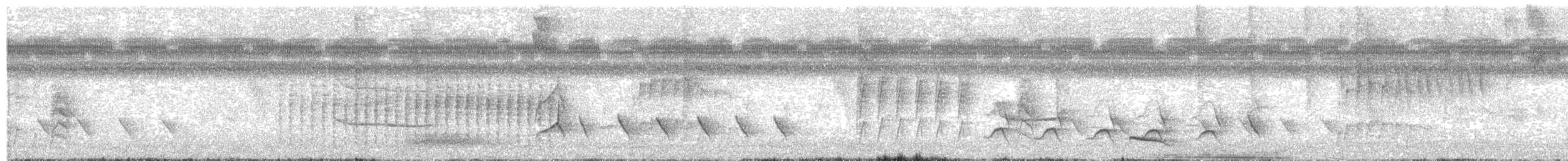 Long-billed Gnatwren - ML643398365