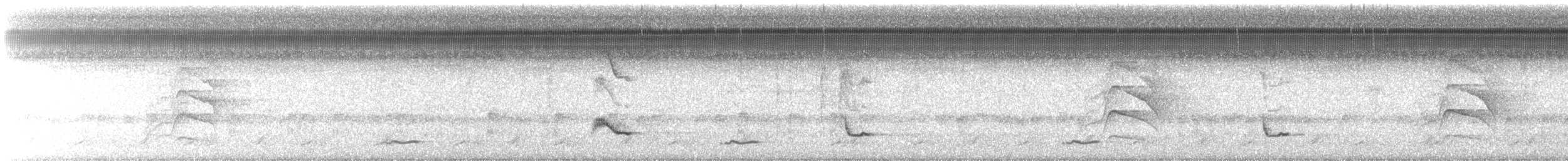 Venezuelan Troupial - ML643398696