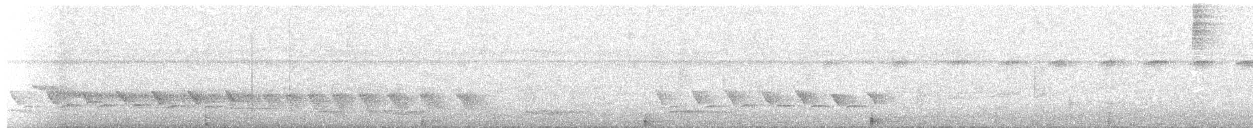 Black-striped Sparrow - ML643398730
