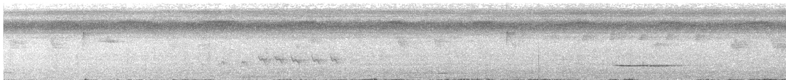 コシギダチョウ - ML643398876