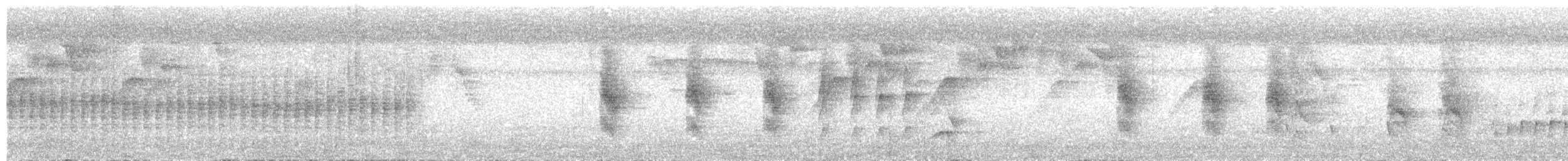 Long-billed Gnatwren - ML643399132