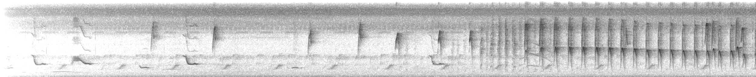 Plain Thornbird - ML643399555