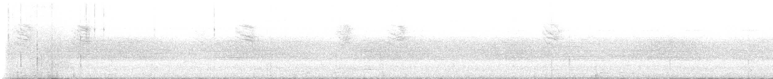 White-browed Gnatcatcher - ML643401198