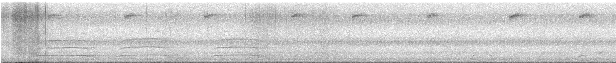 Northern Saw-whet Owl - ML643401632