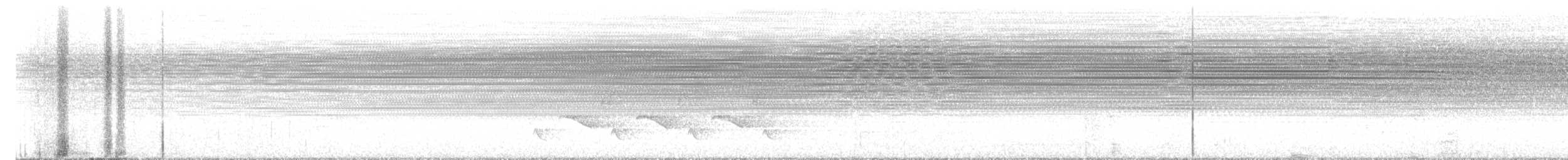 Carolina Wren - ML643401675