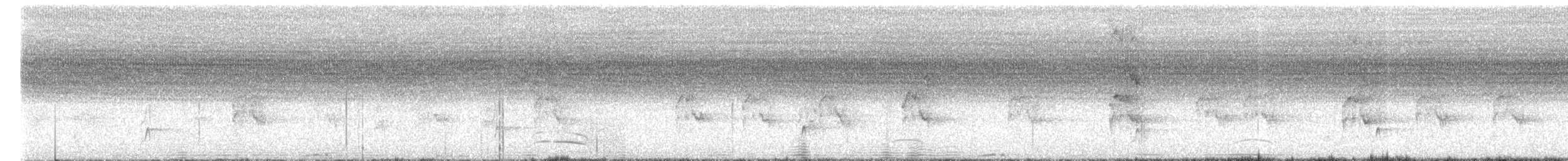 Plain Tyrannulet - ML643401717