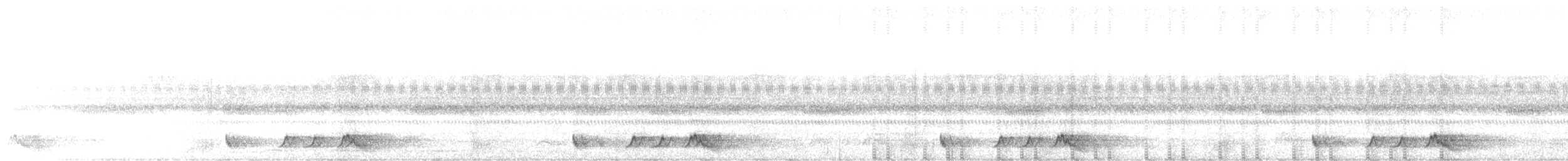 lelek šedočelý - ML643401800