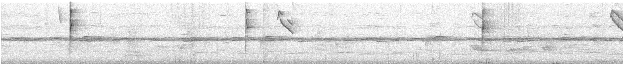 Magpie Tanager - ML643402023