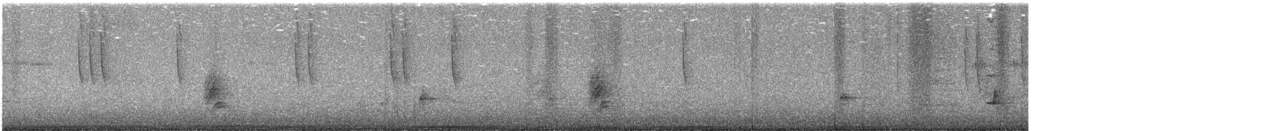 Broad-tailed Hummingbird - ML643402693