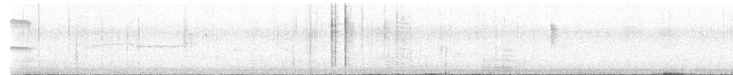Plain Tyrannulet - ML643402701