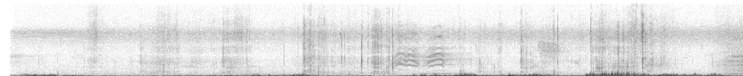 Halsbandara - ML643403002