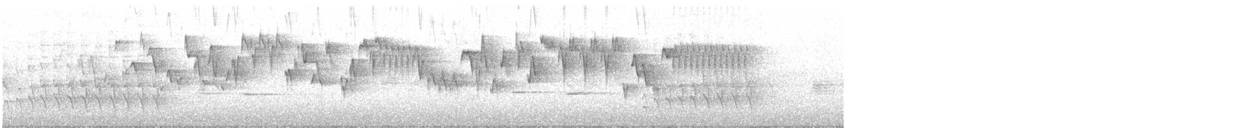 Pacific Wren - ML643403293