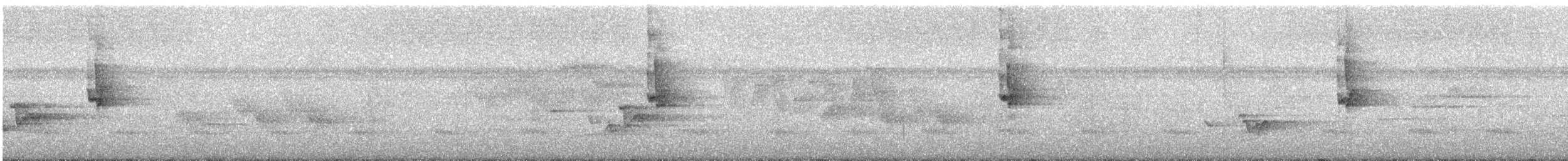 Alström's Warbler - ML643403322