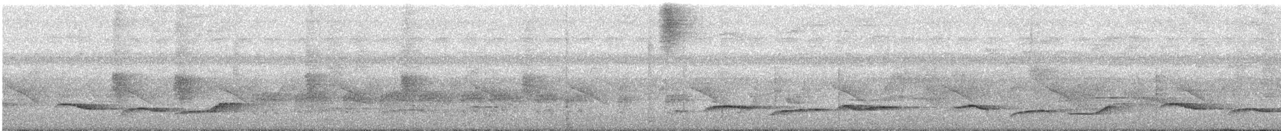 Abbott's Babbler - ML643403372