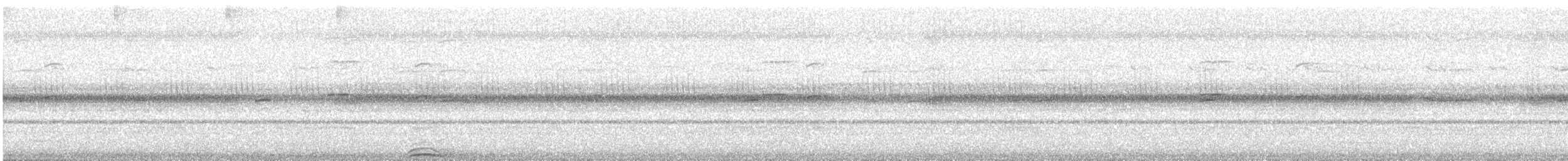 Black-banded Owl - ML643403712
