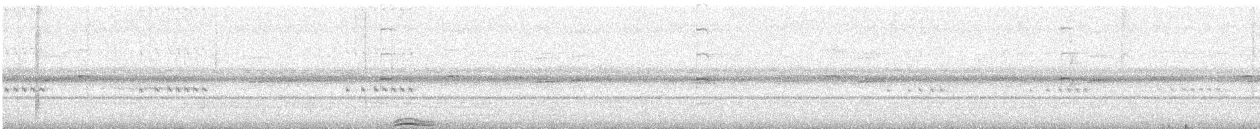 Black-banded Owl - ML643403713