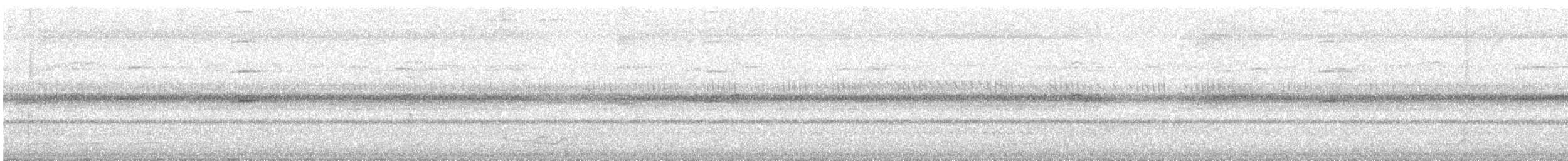 Short-tailed Nighthawk - ML643403718