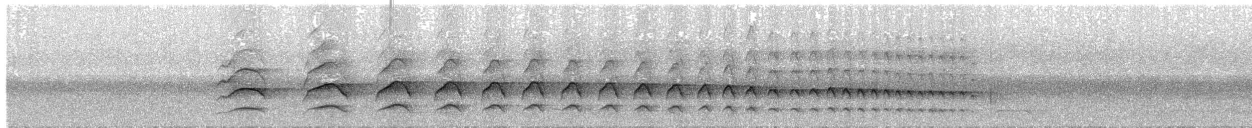 Collared Sparrowhawk - ML643403979