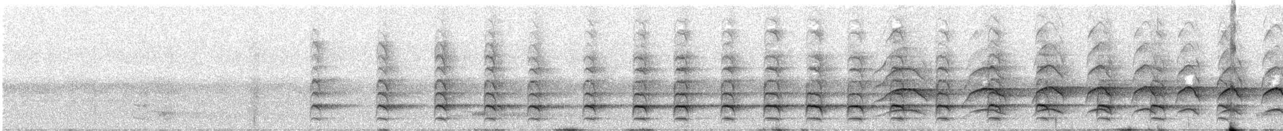 Noisy Friarbird - ML643404489