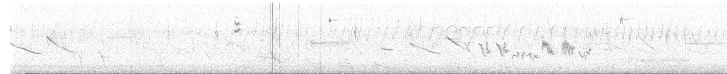 Morgenammer - ML643404587