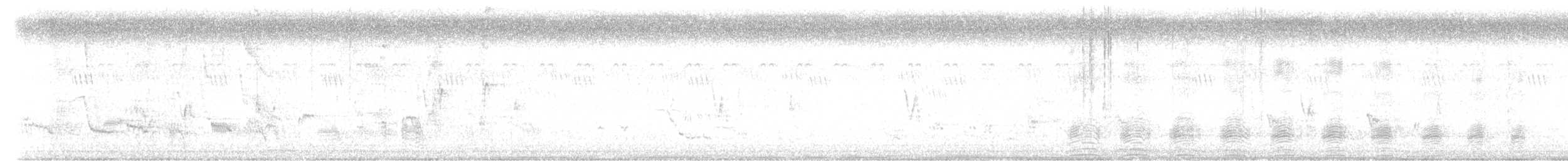 Eastern Spot-billed Duck - ML643405017