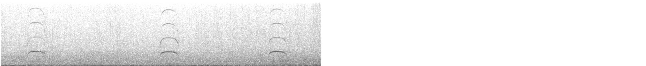 Black Oystercatcher - ML643405477