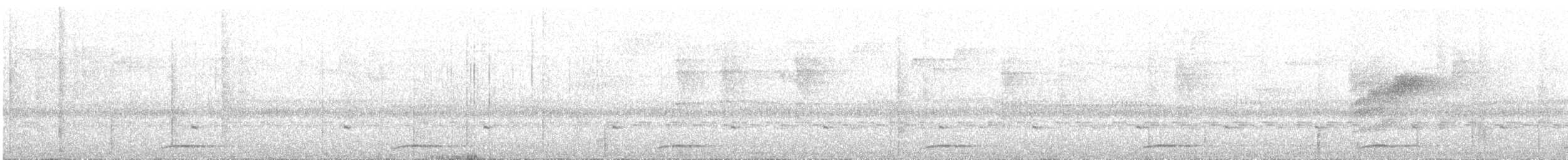 Costa-Rica-Taube - ML643405876