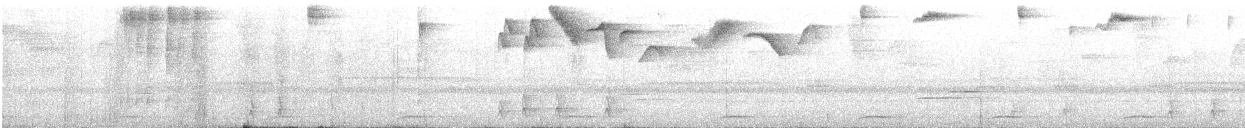 Costa-Rica-Taube - ML643405877