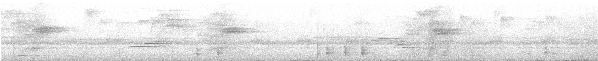 Black-faced Solitaire - ML643406064