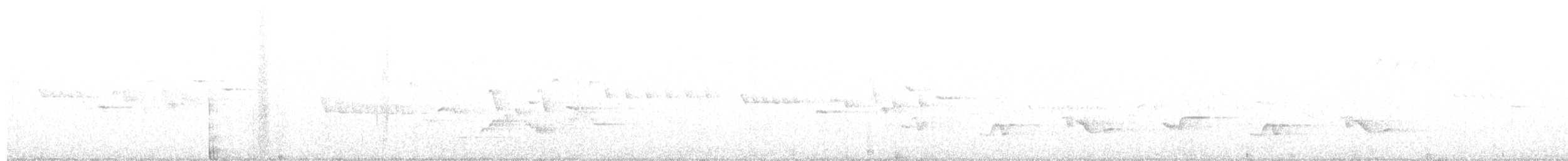 American Robin - ML643407406