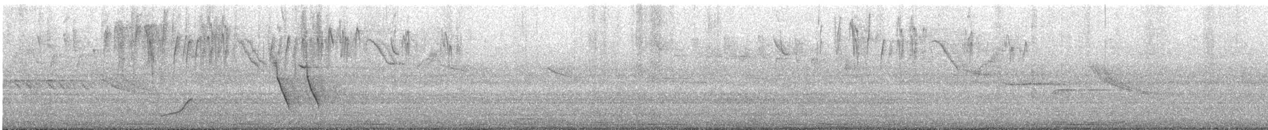Bananaquit - ML643407507