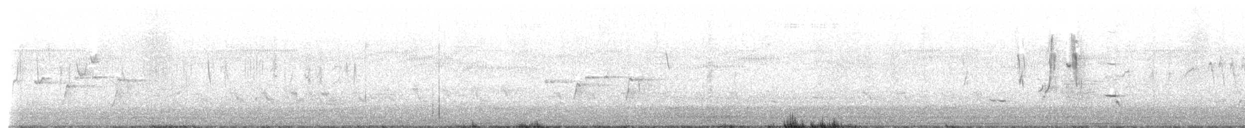 コシアカヒバリモドキ - ML643408008