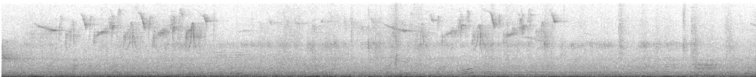 Cinereous Conebill - ML643408384