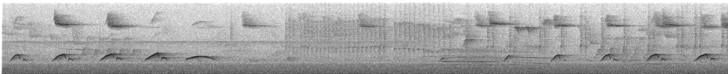 Bright-rumped Attila - ML643408594