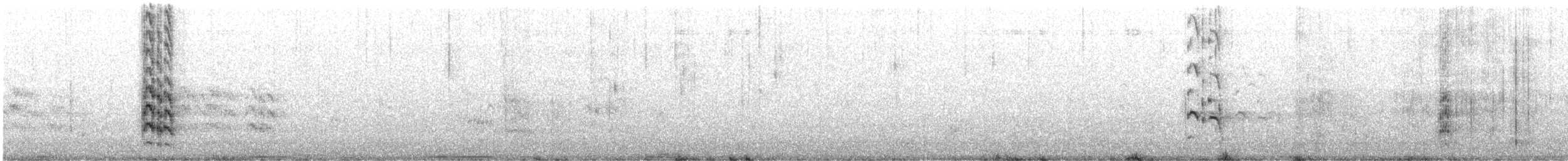 Sterne élégante - ML643408670