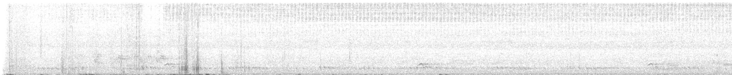 Black-necklaced Scimitar-Babbler - ML643409430