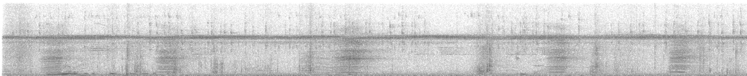 Masked Shining-Parrot - ML643409479