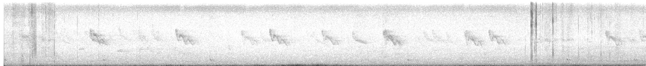 barbet tchajwanský - ML643411043
